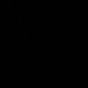 Meet your Posher, Ron